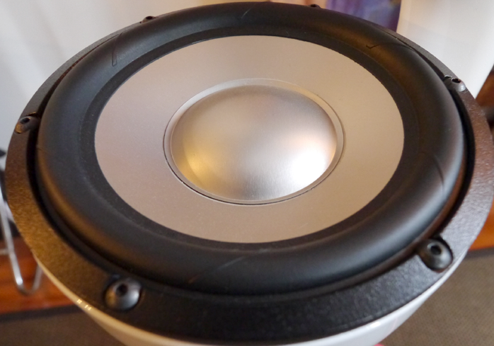 speaker pluto 12 inch