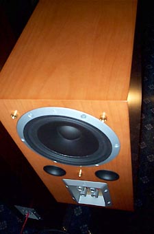 Solis rear